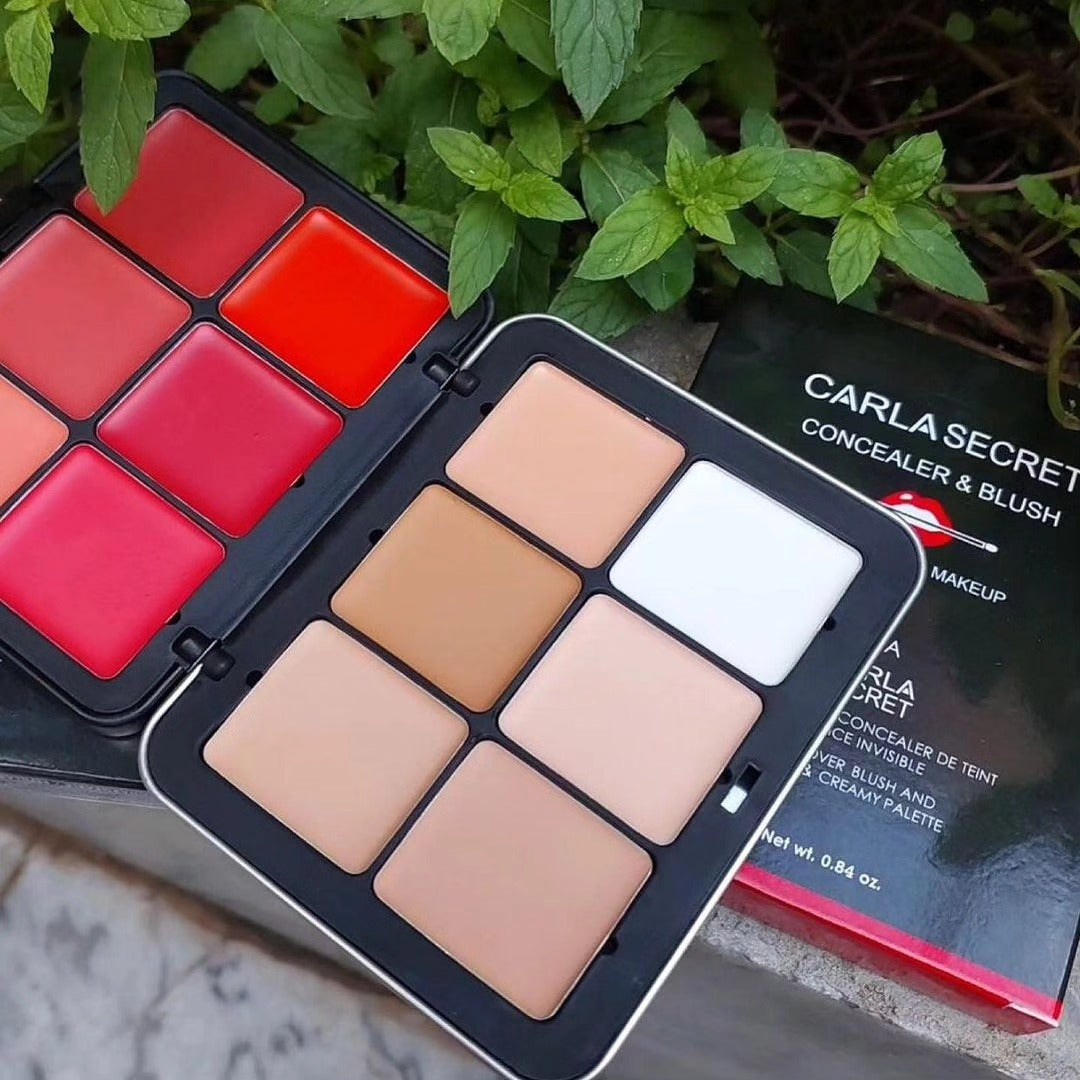 CARLA SECRET BLUSH ,CONTOUR ND CONCEAL PALLET