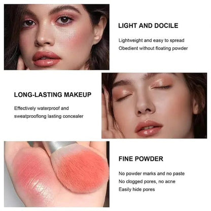 CARLA SECRET BLUSH ,CONTOUR ND CONCEAL PALLET